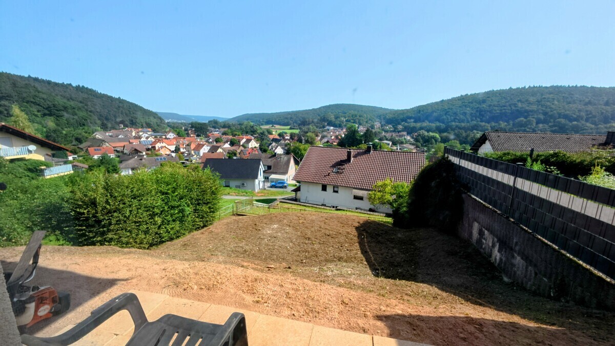 Blick ins Grüne