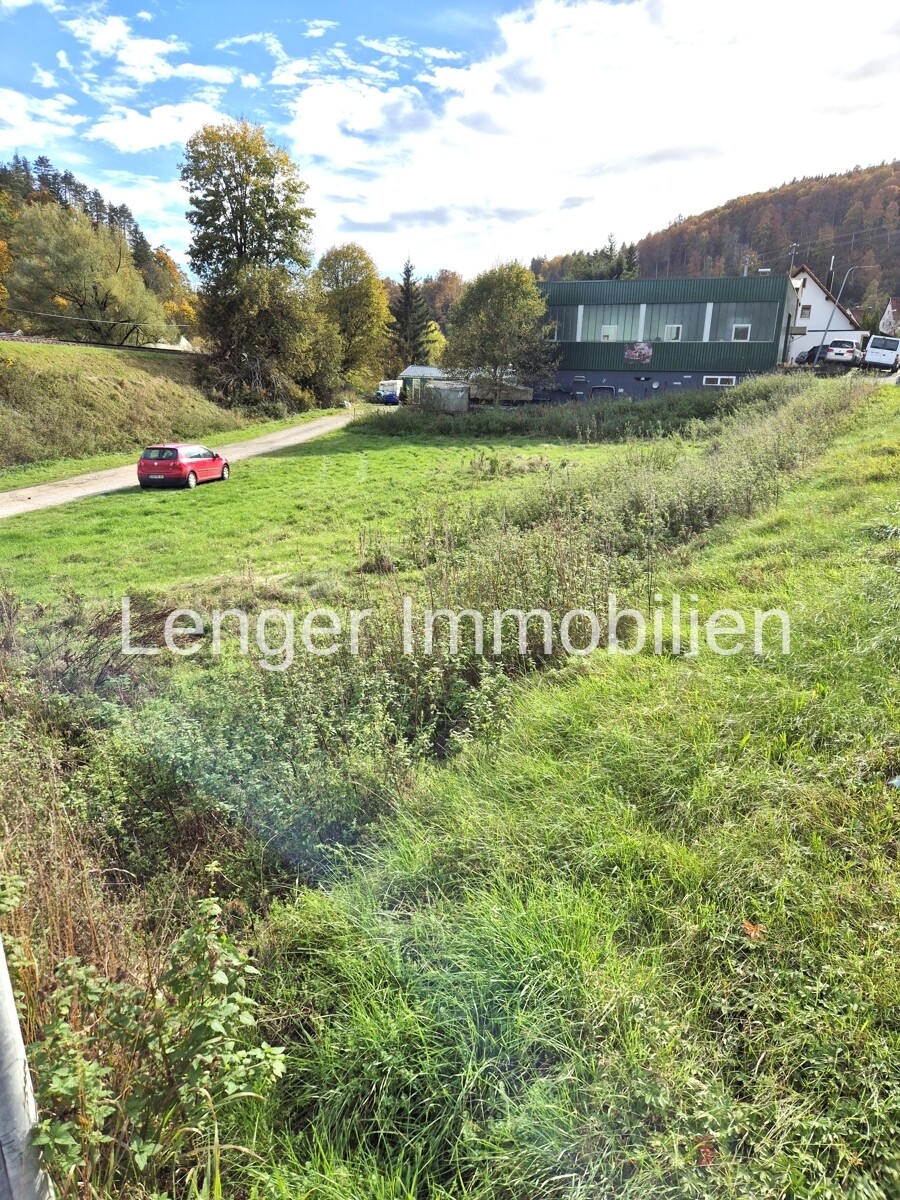 Immobilienbild