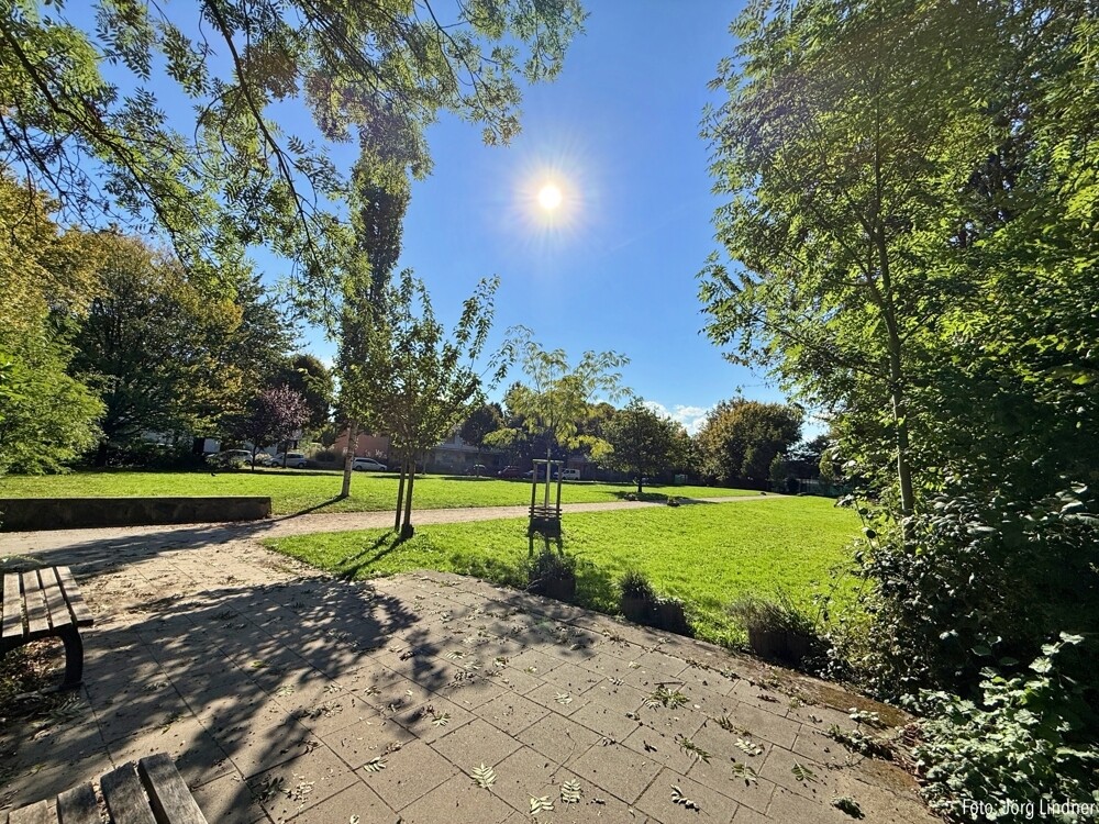 Der "Bürgerpark" in Haarzopf