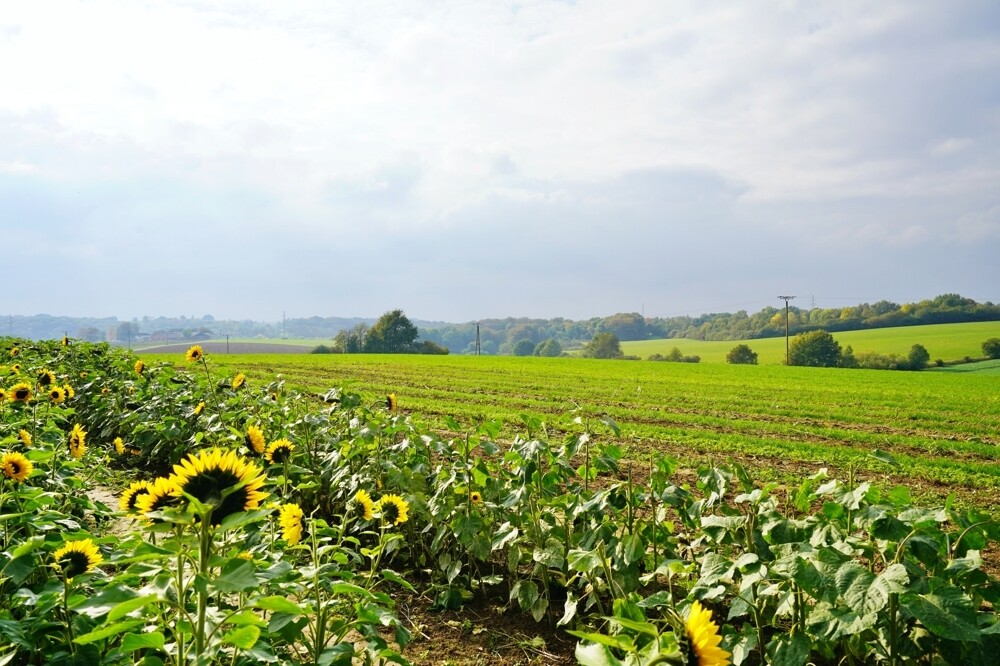 Natur pur - direkt vor der Tür