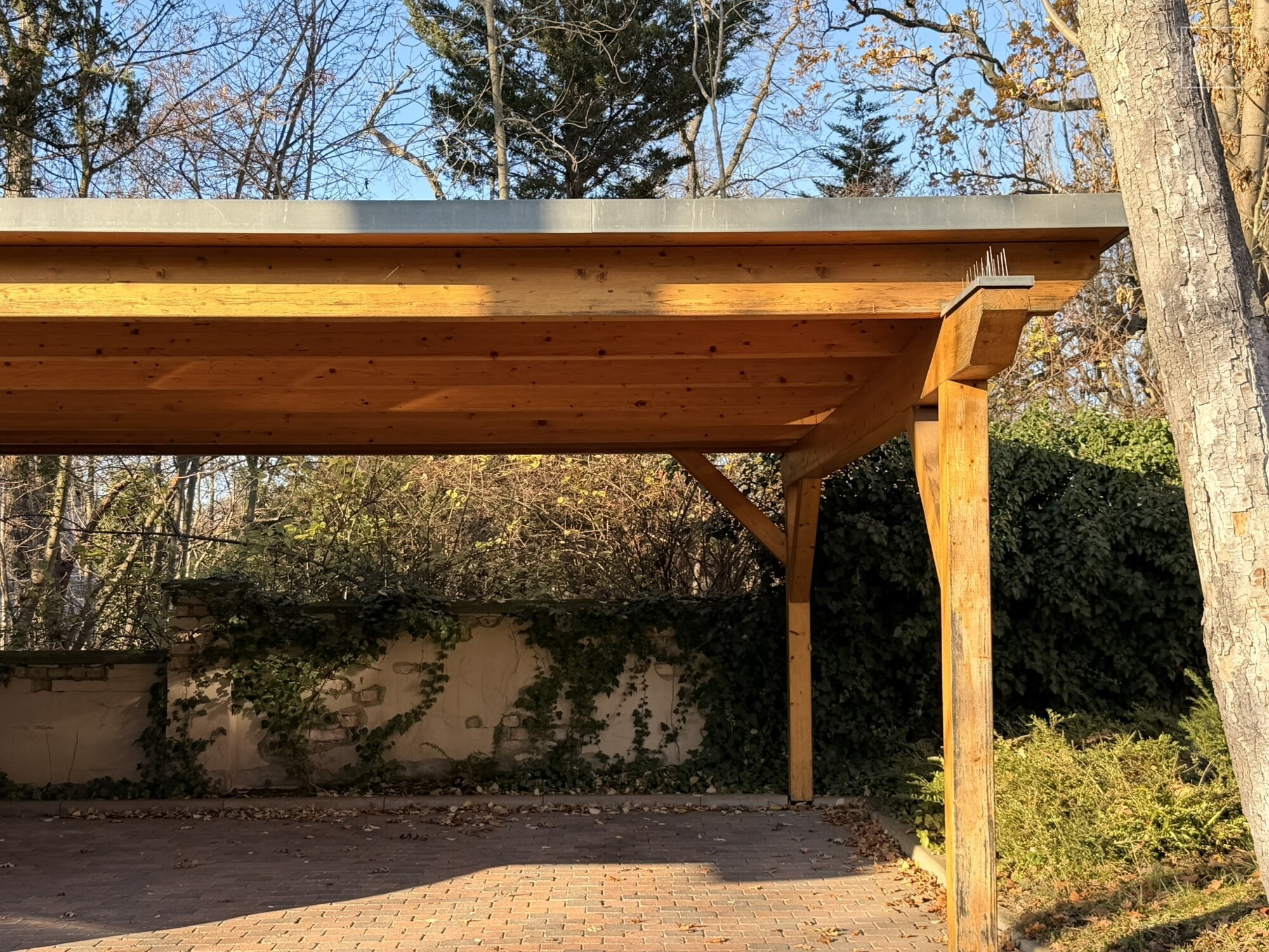 dach über ihren 4 rädern