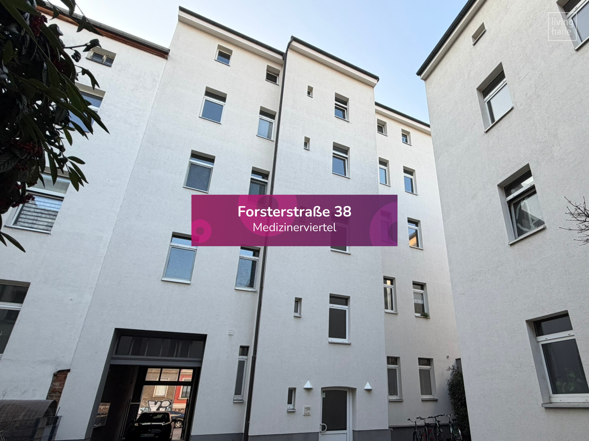 titelbild