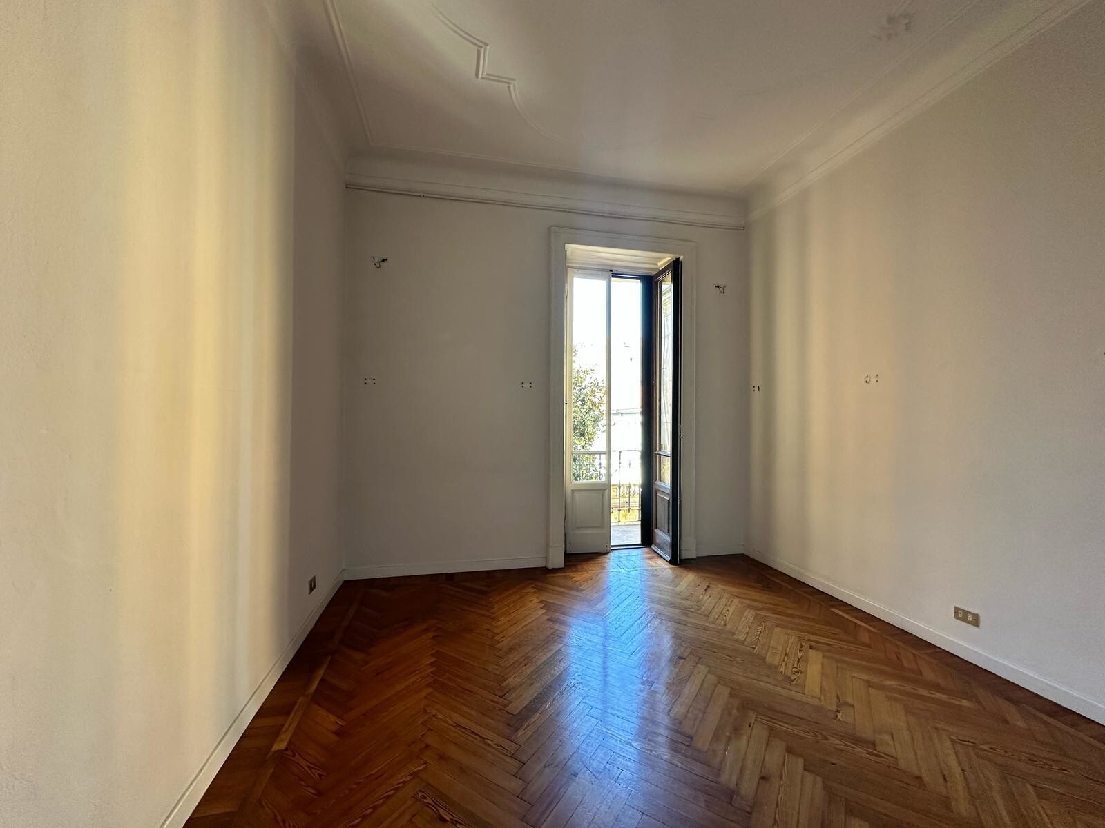 PHOTO-2025-04-01-12-09-27 3