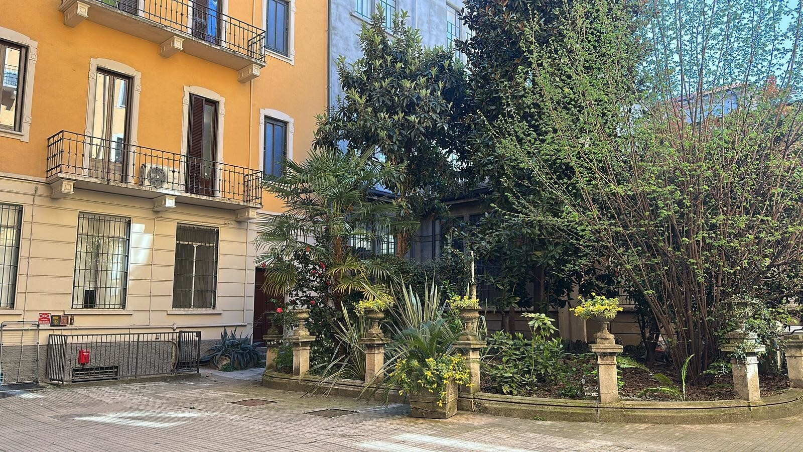 PHOTO-2025-04-01-12-09-28 6