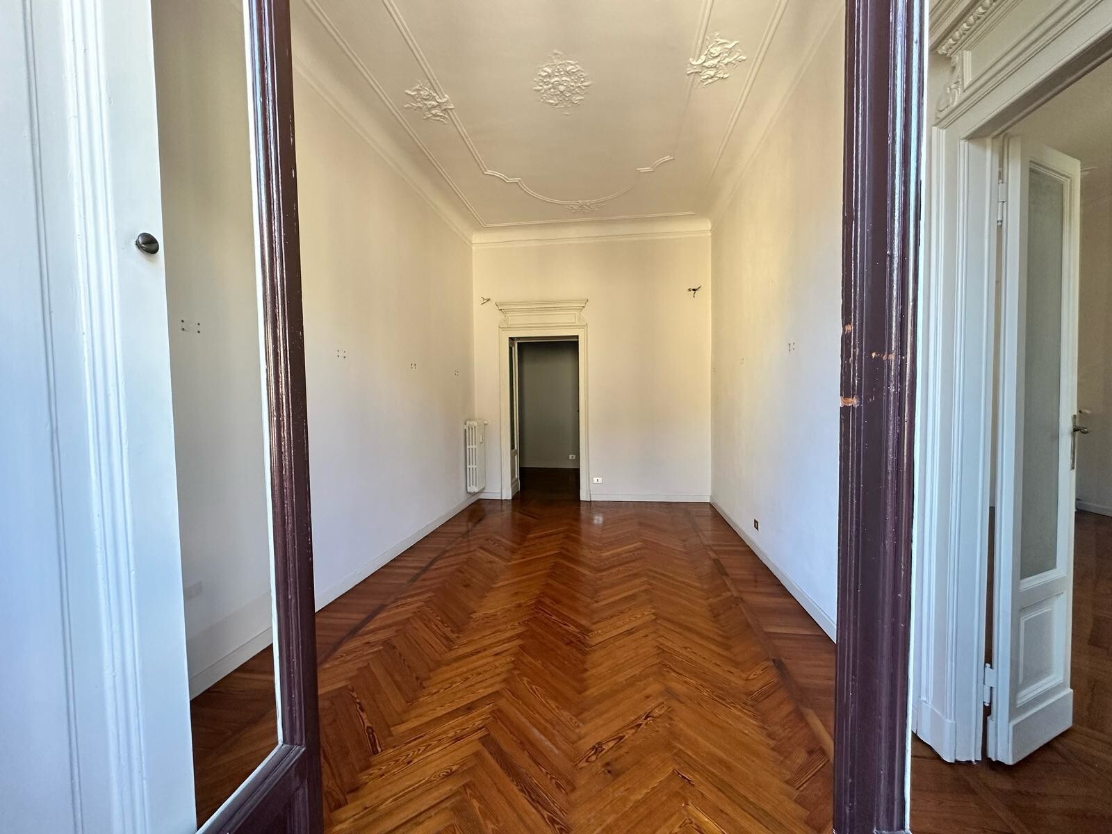 PHOTO-2025-04-01-12-09-27 8