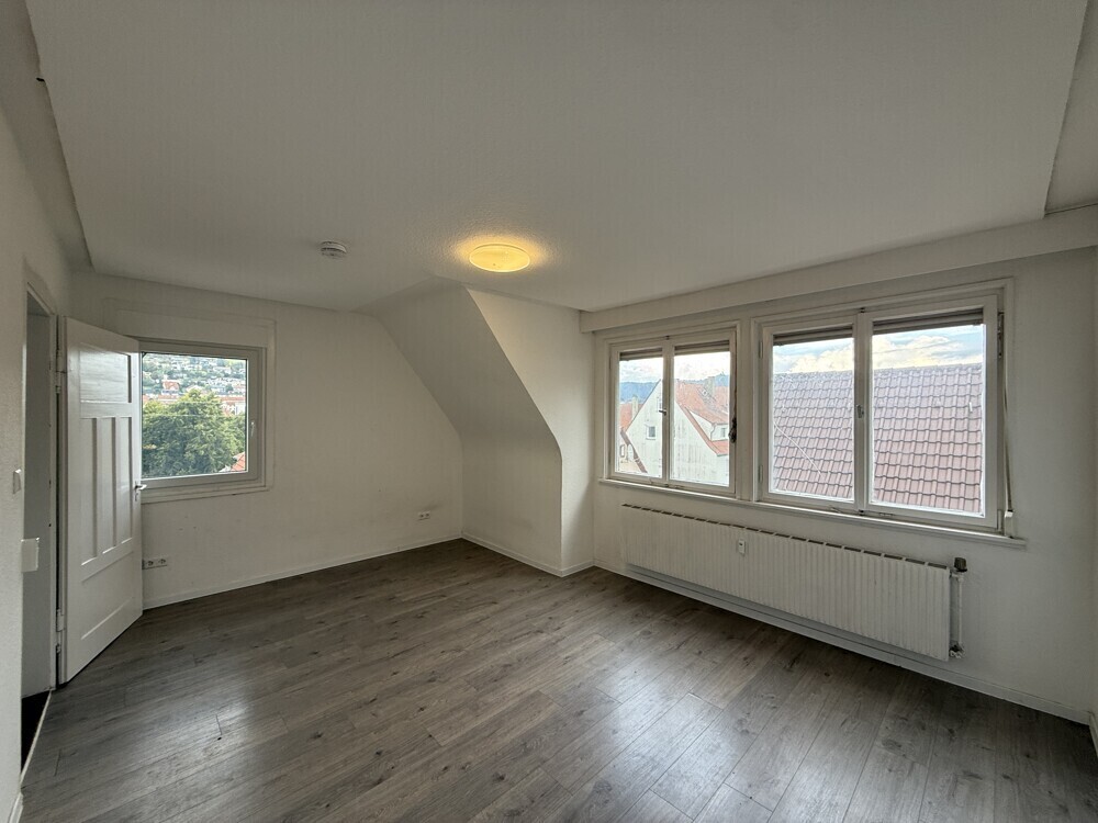 Zimmer DG