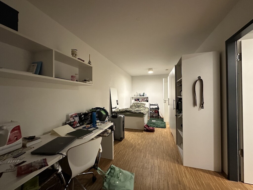 Wohn- und Schlafzimmer