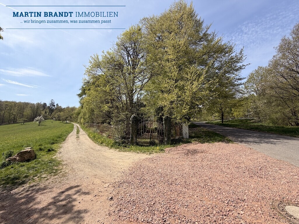 Weg nach Reichenbach