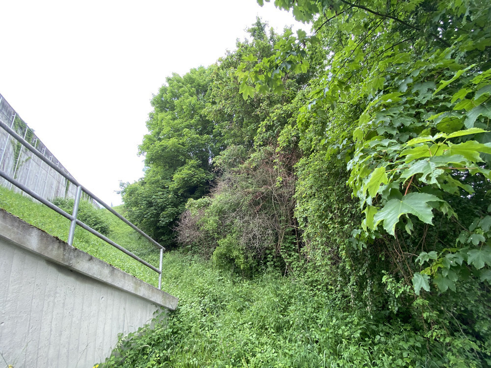Ansicht von unten 