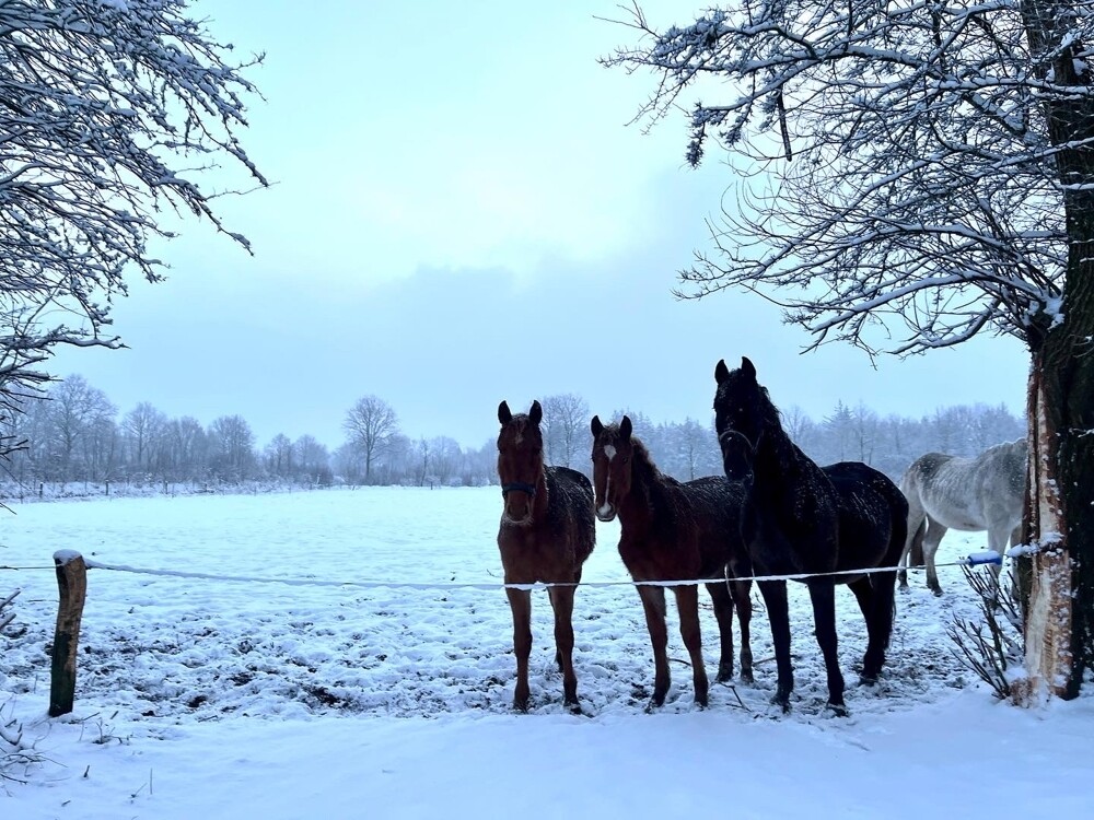 Winterliche Impressionen