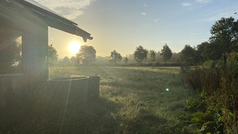 Impressionen