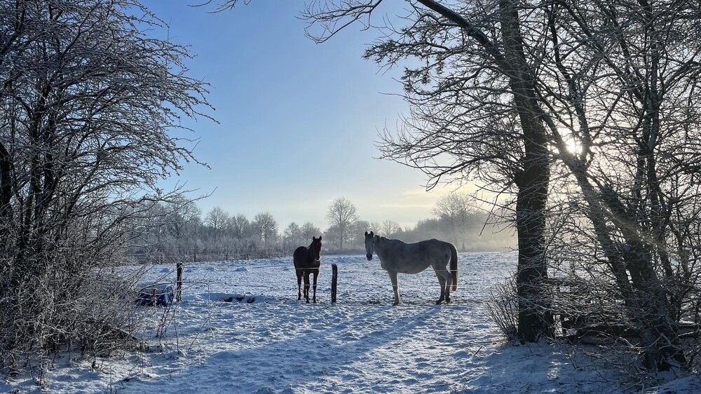 Winterliche Impressionen
