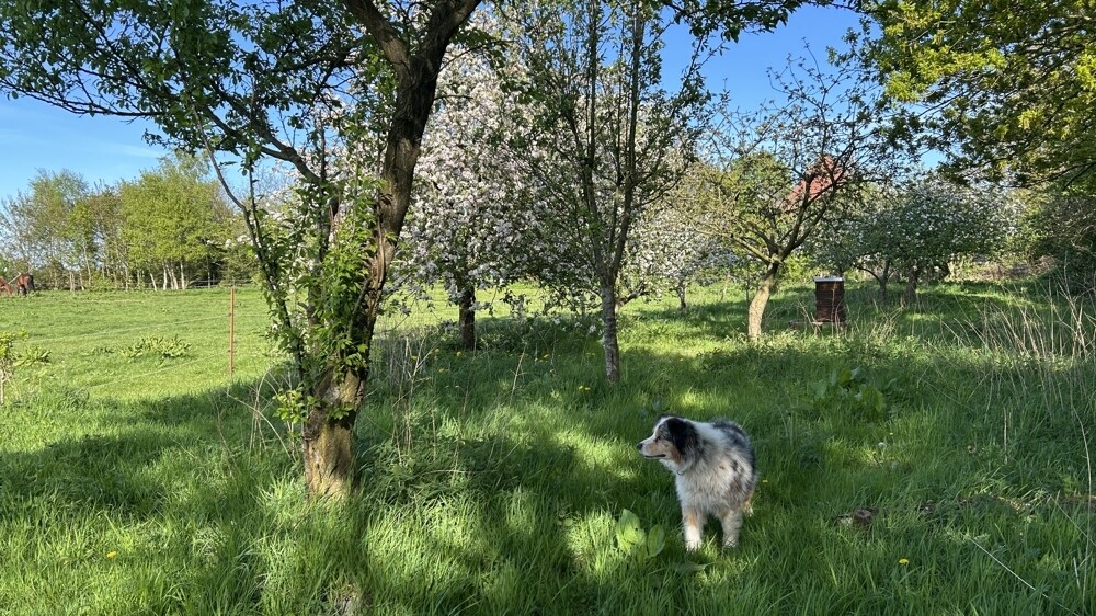 Impressionen