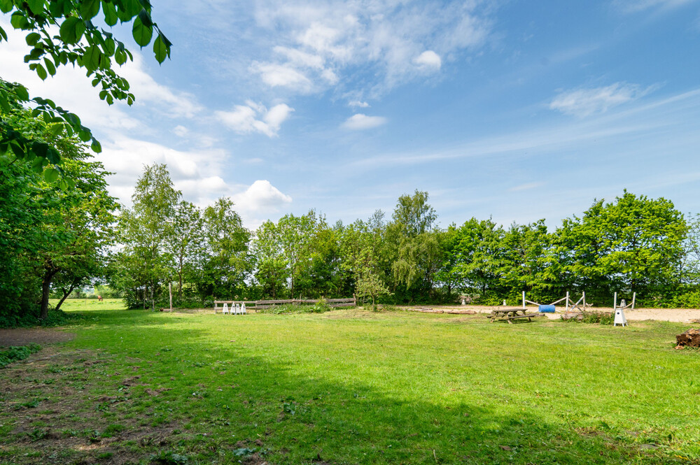Wiese/Reitplatz