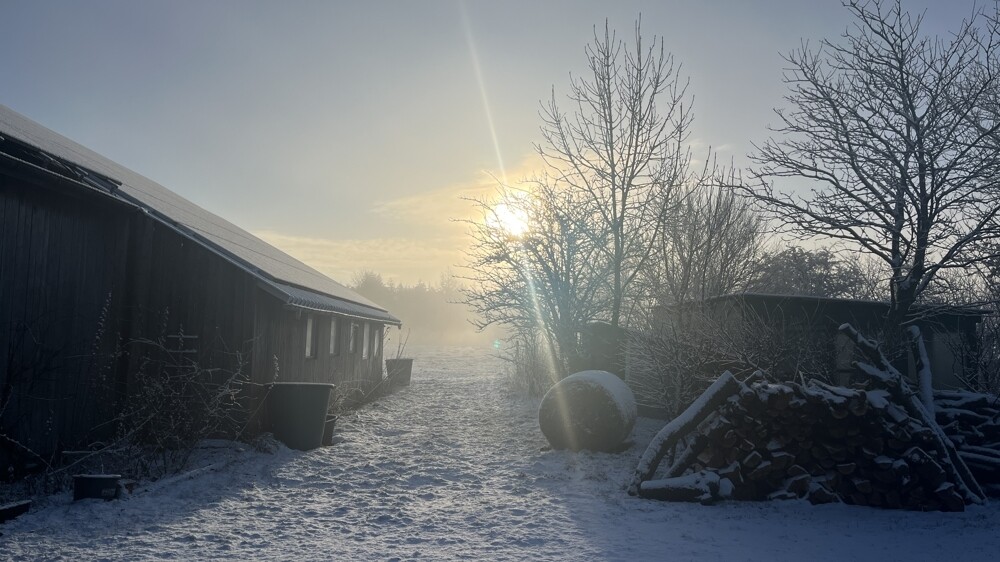 Winterliche Impressionen