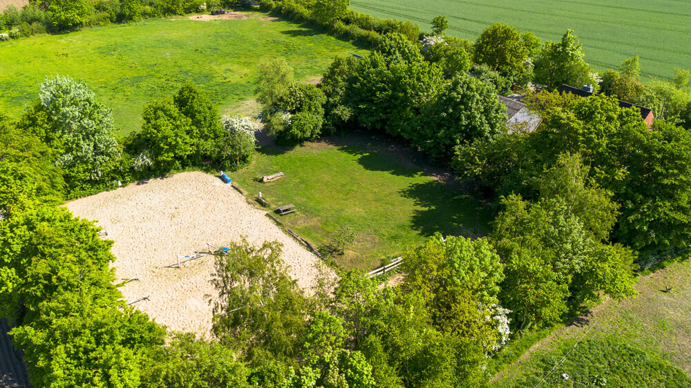 Reitplatz/Wiese