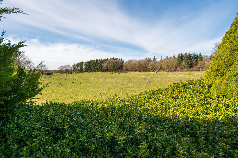 Blick über die Felder