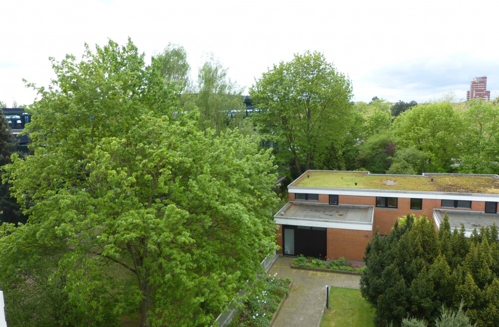 Blick von der Terrasse