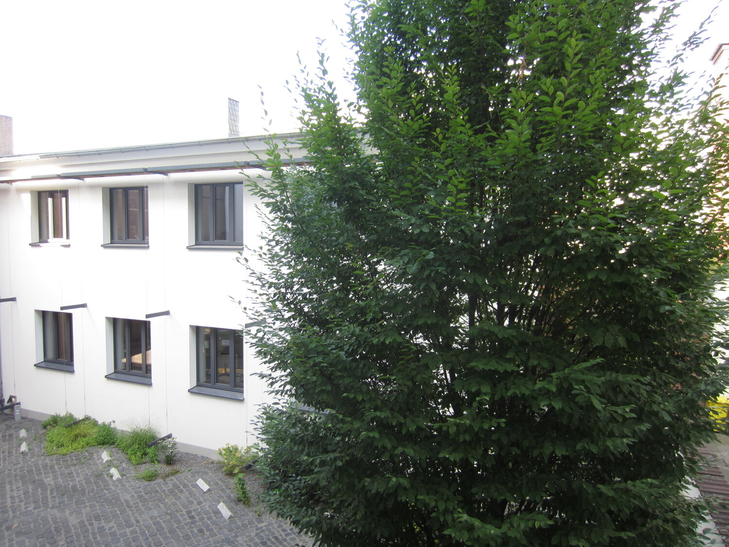 Ausblick Schlafzimmer