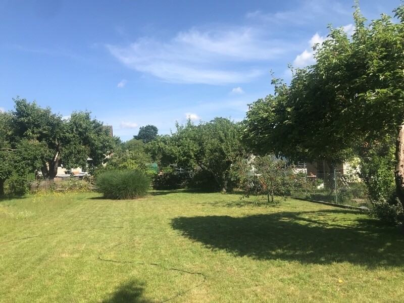 Sommerimpressionen Gartengrundstück