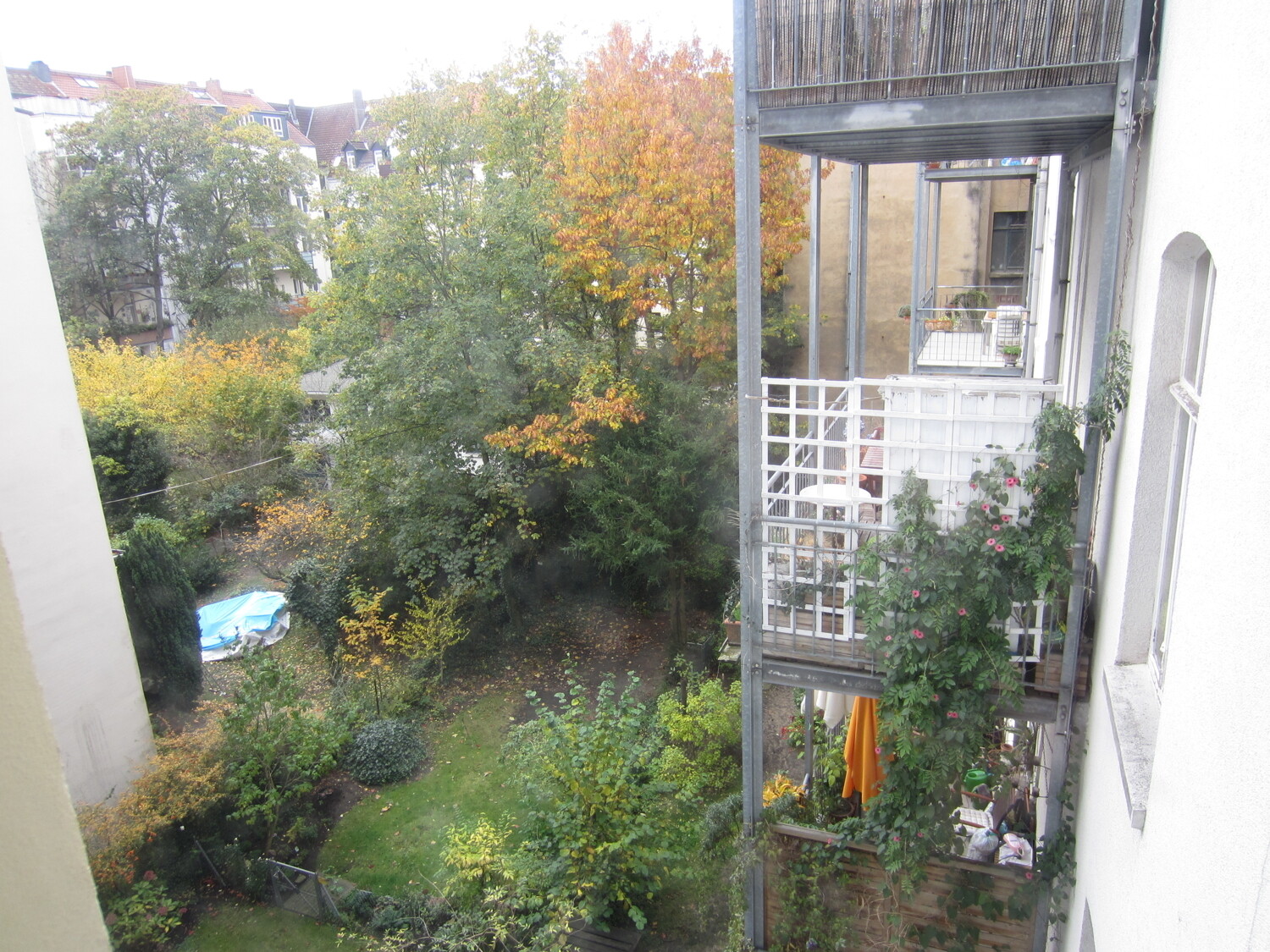 Blick in den Hof