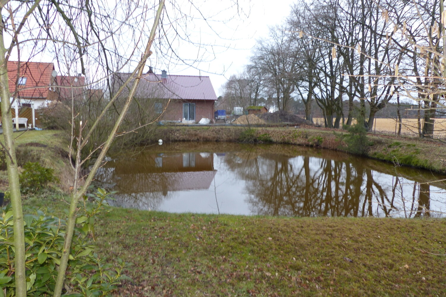 Teich