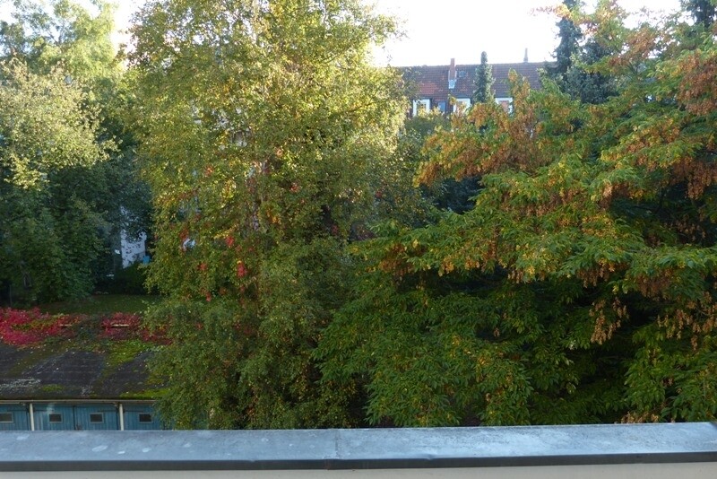 Ausblick vom Balkon in den Innenhofgarten