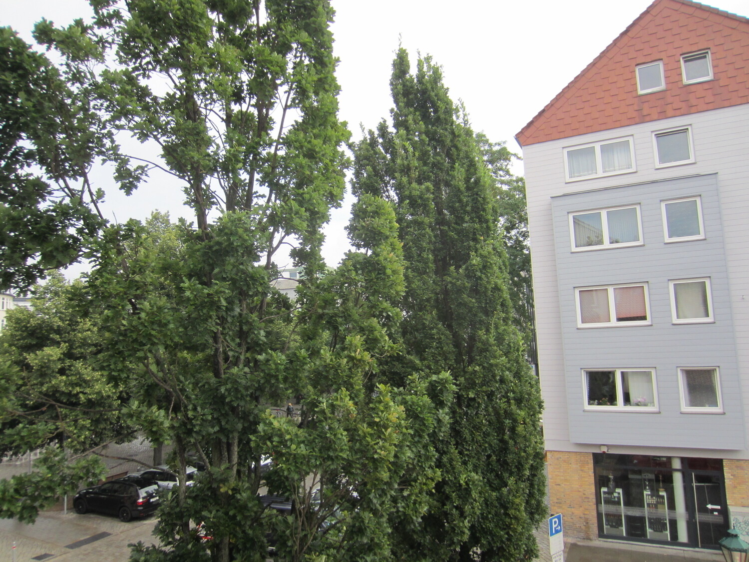 Ausblick