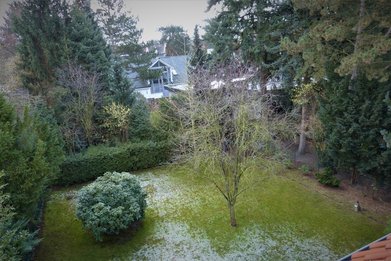 Blick in den Gartenin den Garten