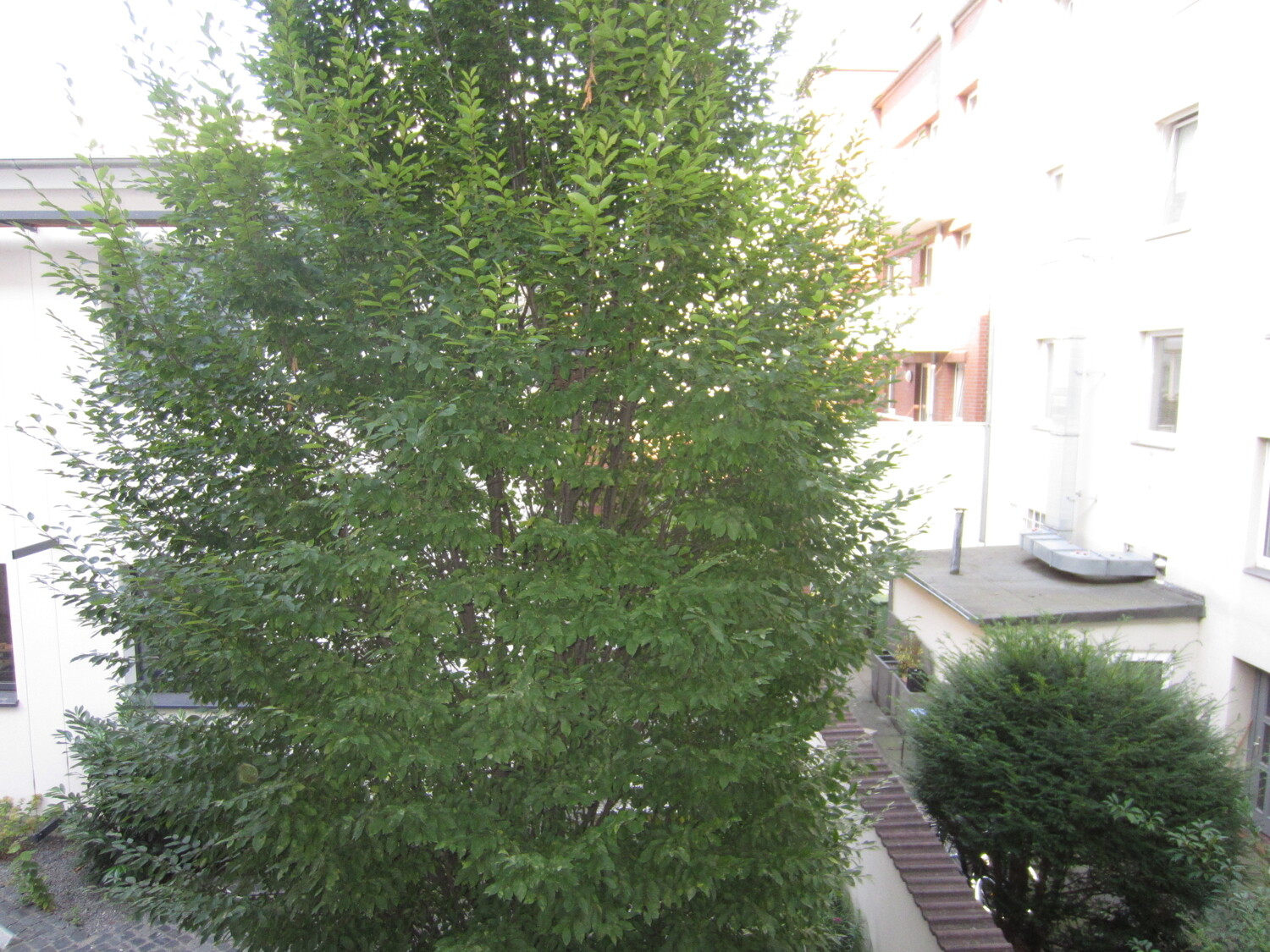 Blick aus dem Schlafzimmer