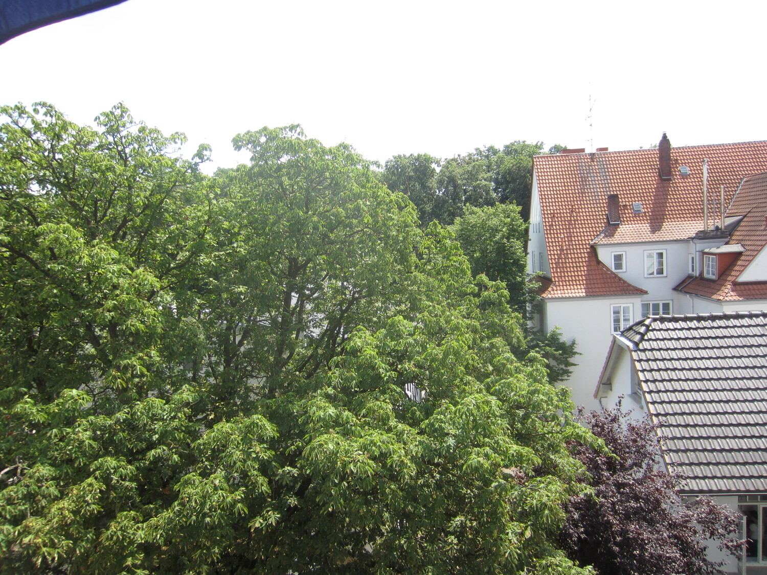 Ausblick Hofseite