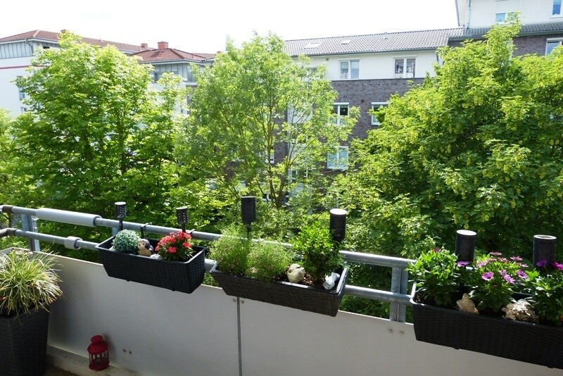 Aussicht vom Balkon ins Grüne
