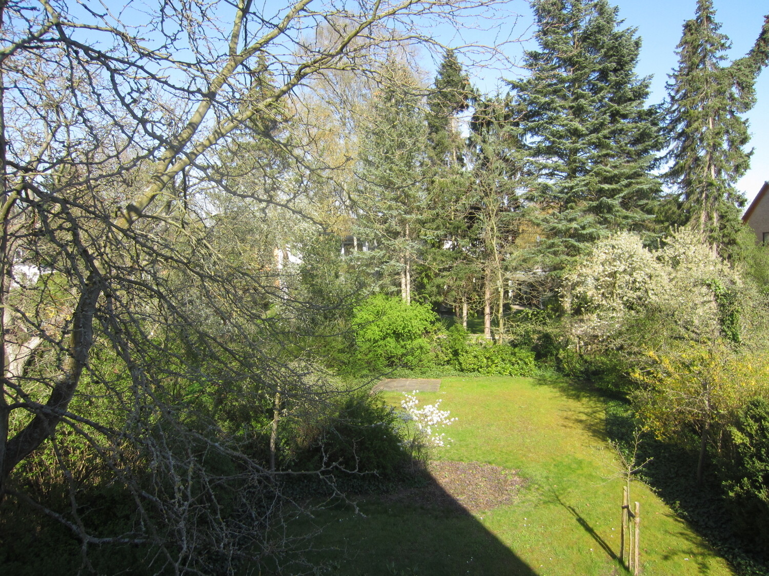 Ausblick