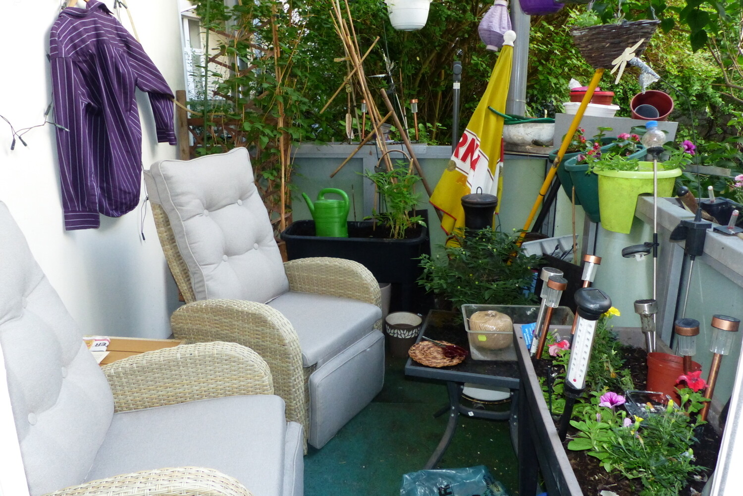 P1030600