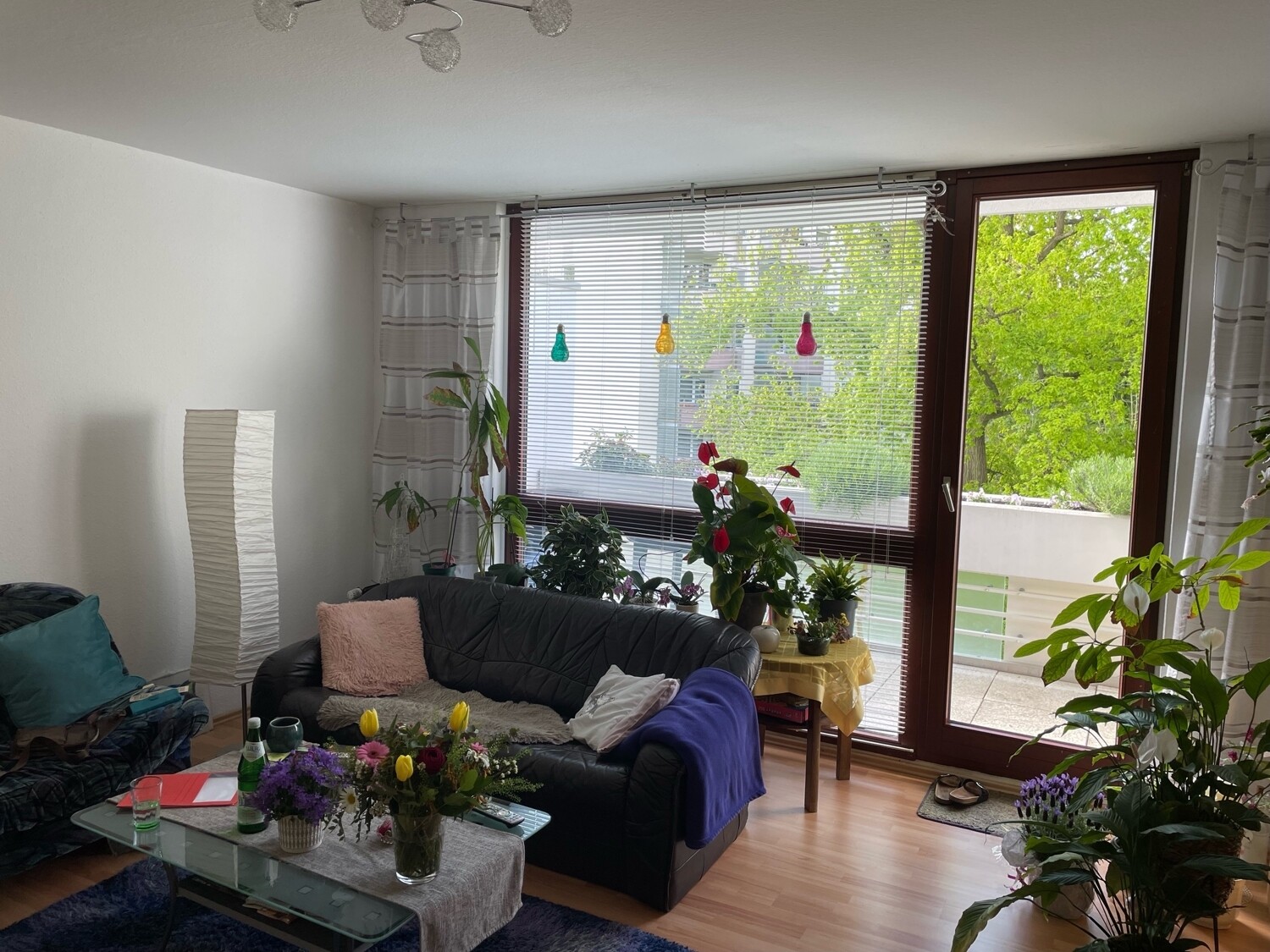 Wohnzimmer (1)