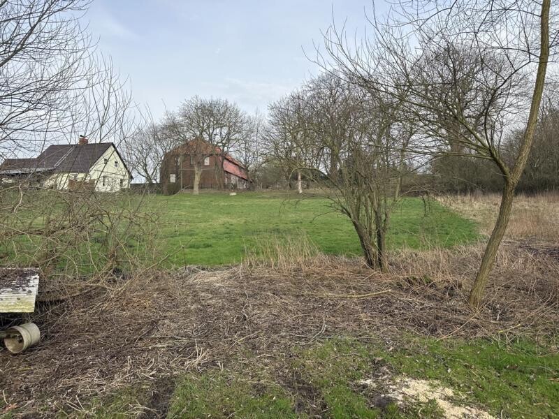 Landwirtschaft Fläche