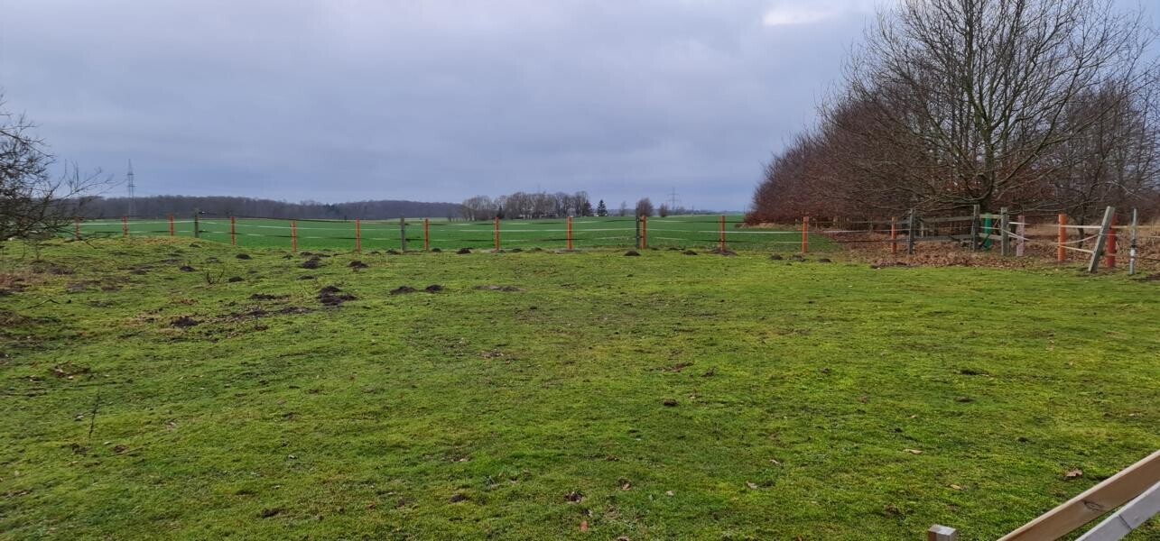 Weideland