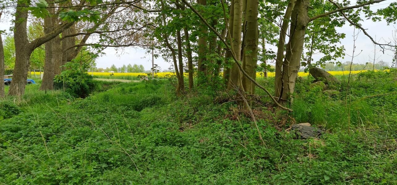 Immobilienbild