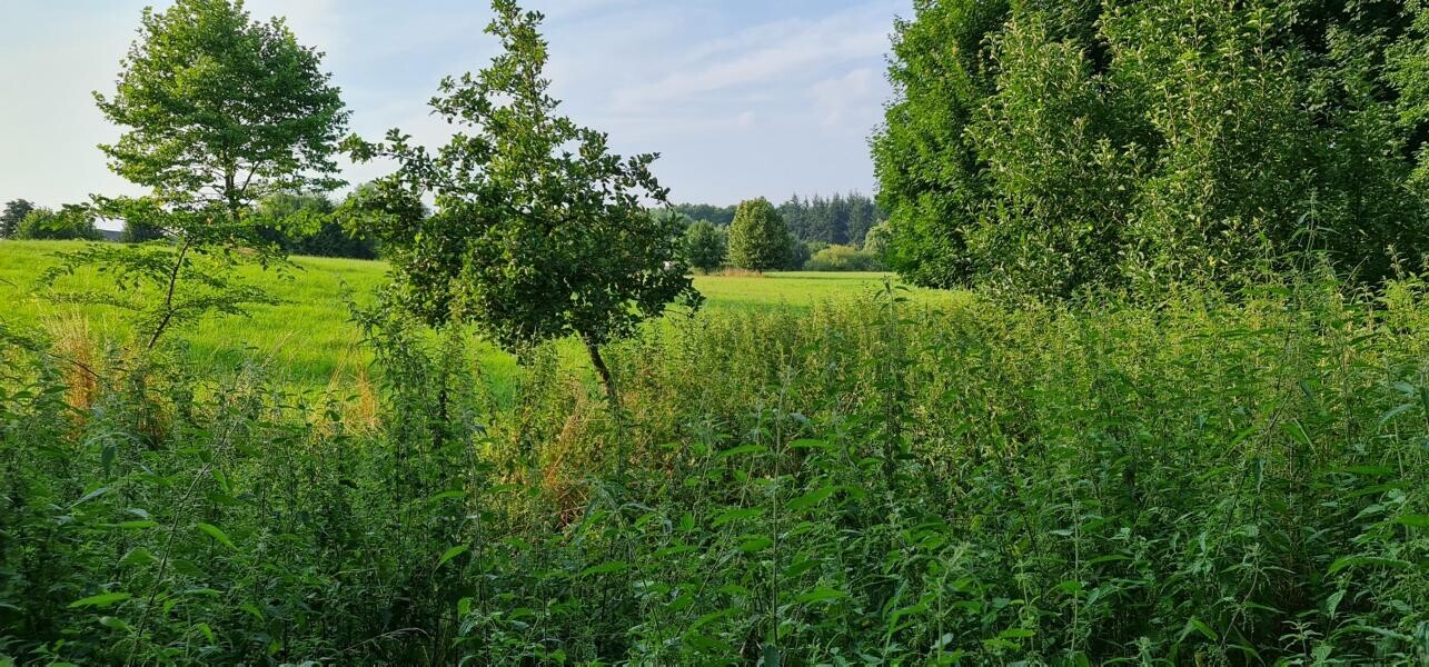 Immobilienbild