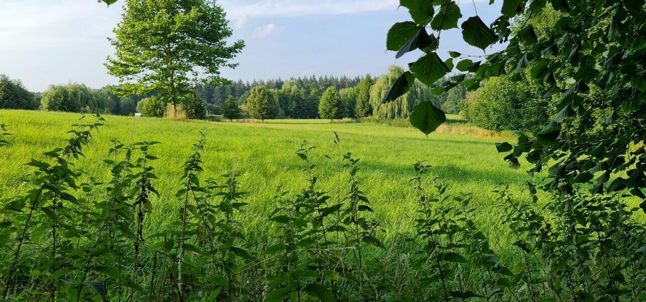 Immobilienbild