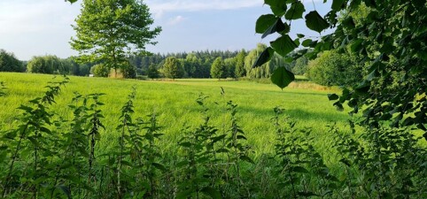 Immobilienbild