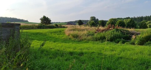 Immobilienbild