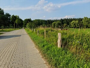 Immobilienbild