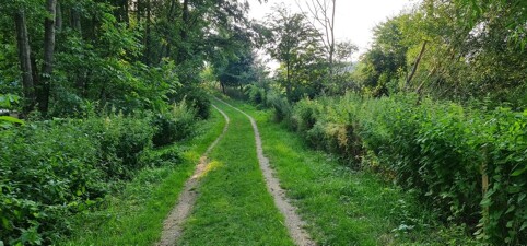 Immobilienbild