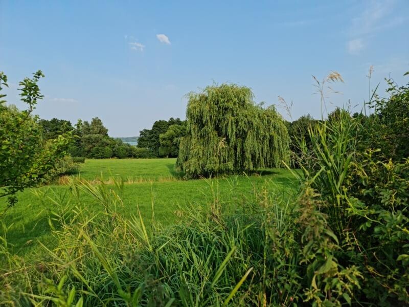 Immobilienbild