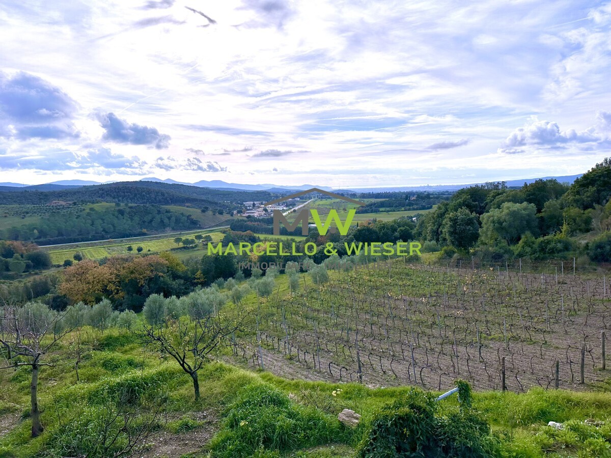 Immagine della proprietà