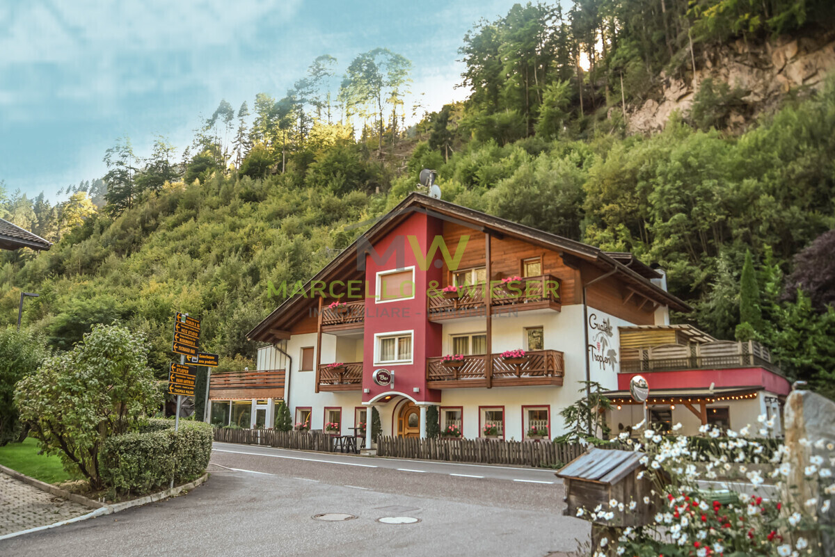 Haus