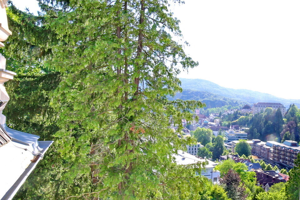 Ausblick Wohnzimmer