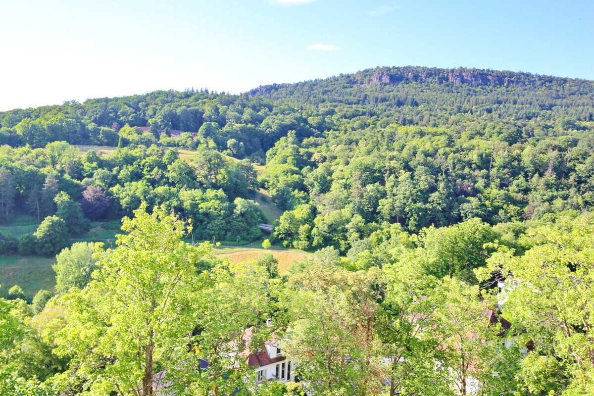 Blick auf Battertfelsenn