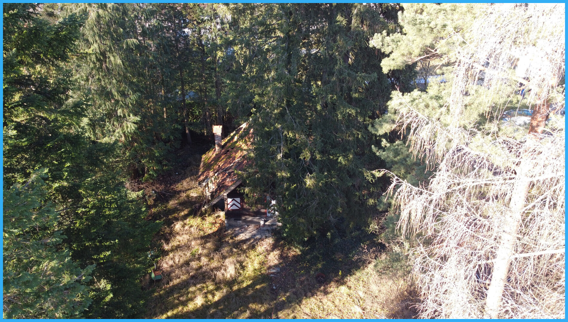 Blick übers Grundstück